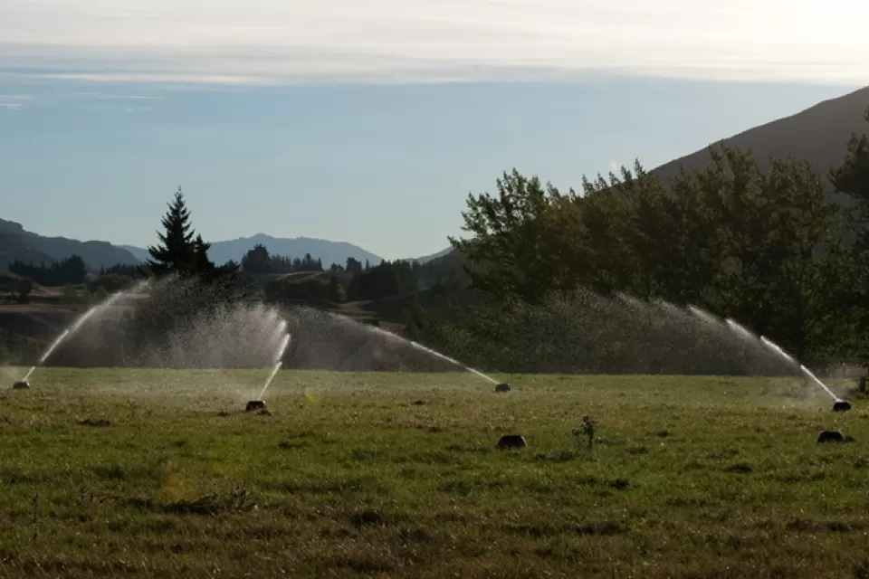 irrigation